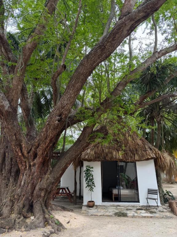 Cabanas Camping Ria Селестун Екстериор снимка